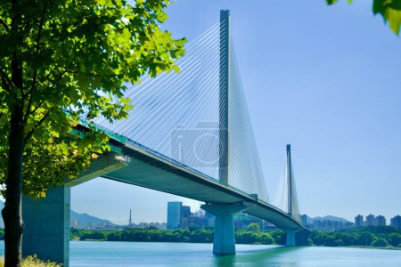 Téléchargez les photos : Guri City, Corée du Sud - 30 septembre 2023 : L'impressionnant Grand Pont de Godeok enjambe la rivière Han, ses deux tours à haubans supportant un réseau de câbles rayonnants, créant un superbe affichage architectural. - en image libre de droit