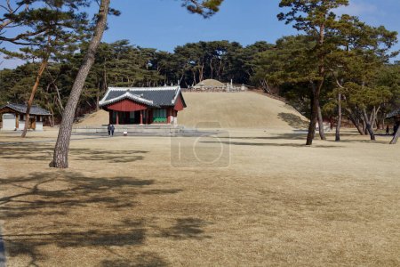 Téléchargez les photos : Yeoju City, Corée du Sud - 16 février 2020 : Deux visiteurs se tiennent devant le sanctuaire jeongjagak et le monticule funéraire du tombeau du roi Sejong, entouré de pelouses verdoyantes et de pins. - en image libre de droit