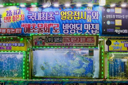 Foto de Sokcho City, Corea del Sur - 30 de julio de 2019: Un restaurante de mariscos de dos pisos en el puerto de Jangsa, con grandes ventanas de peceras en el primer piso, comensales visibles en el segundo piso y un cartel gigante entre pisos, todo iluminado por la noche.. - Imagen libre de derechos