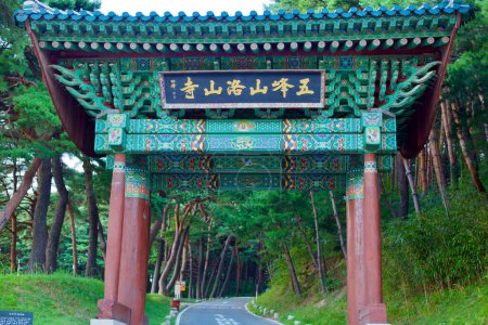Foto de Condado de Yangyang, Corea del Sur - 30 de julio de 2019: El camino que conduce a la puerta de entrada del templo de Naksan, bordeado por un oscuro dosel de pinos, creando un camino tranquilo hacia este antiguo santuario espiritual. - Imagen libre de derechos