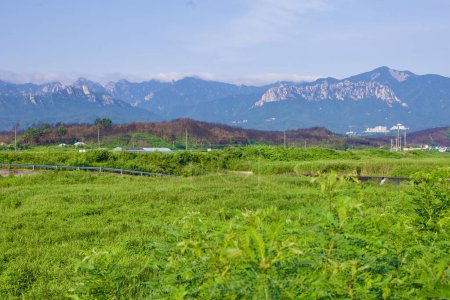 Foto de Condado de Goseong, Corea del Sur - 30 de julio de 2019: Un exuberante campo verde con colinas bajas destaca la majestuosa roca Ulsan y otros picos rocosos de la cordillera Taebaek bajo nubes bajas. - Imagen libre de derechos