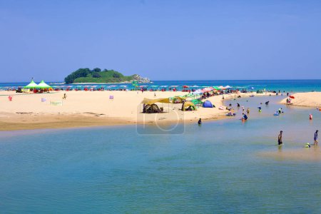 Photo for Goseong County, South Korea - July 31, 2019: Families and tourists enjoy the shallow, clear waters of Hwajinpo Beach, where a freshwater stream meets the East Sea, against a backdrop of a quaint island and lined with tents and umbrellas. - Royalty Free Image