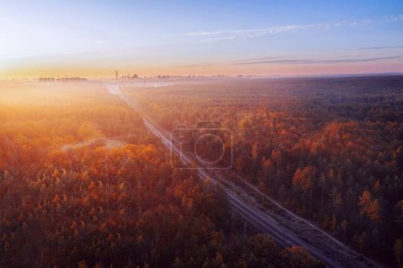 Foto de Carretera de ferrocarril que pasa a través del bosque de otoño durante el amanecer. Paisaje colorido con carretera ferroviaria, bosque denso y silueta de la ciudad en el horizonte en otoño. - Imagen libre de derechos