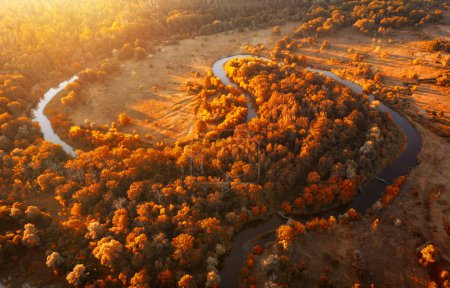 Téléchargez les photos : Rivière sinueuse dans la forêt d'automne tôt le matin à l'aube. Vue aérienne des virages en zigzag de la rivière. Paysage aérien coloré de la côte du fleuve. - en image libre de droit