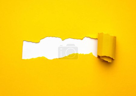 Yellow torn Paper with space for text on white background.
