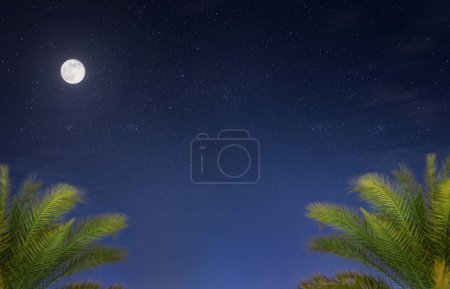 Téléchargez les photos : Beau paysage nocturne avec palmiers tropicaux dans le ciel étoilé de nuit avec pleine lune. - en image libre de droit