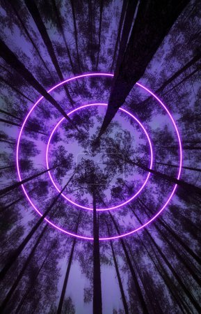 Mysterious purple neon circles on treetops in a gloomy forest.