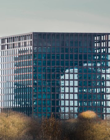 Blick auf ein modernes Bürogebäude. Maschenform. Blick auf Fenster und Bürokabinen