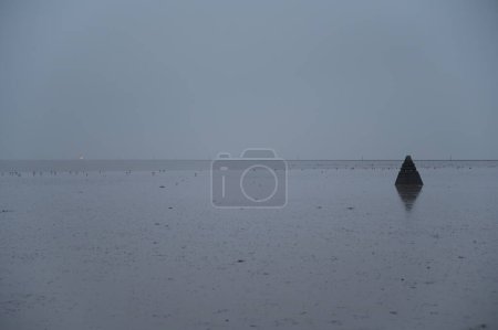Téléchargez les photos : Pyramide des poissons de Neuharlingersiel à marée basse, le ferry arrivant et les oiseaux fouillant déjà le fond marin de la mer des Wadden à mesure que l'eau recule. - en image libre de droit