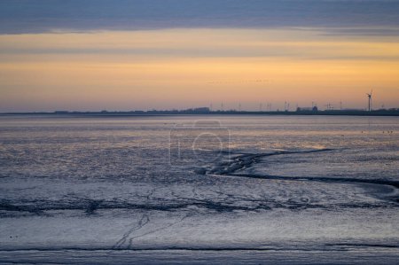 Photo for Wadden Sea near Neuharlingersiel, Germany at sunrise with flock of birds passing and channels of receding water, mussels, shells, tracks of sea birds against coastline with wind turbines - Royalty Free Image