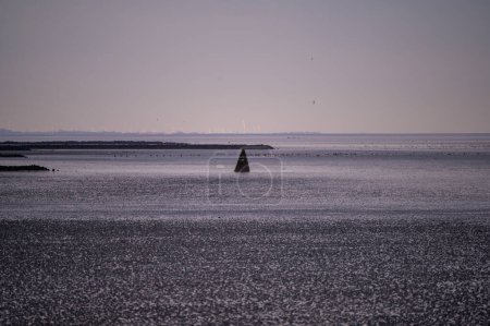 Téléchargez les photos : Pyramide des poissons de Neuharlingersiel à marée basse. Oiseaux se nourrissant sur la mer des Wadden révélée, fond de l'océan. - en image libre de droit
