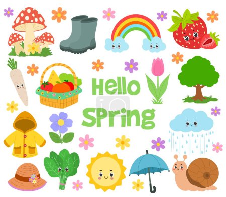 Collection of spring vector elements and illustrations