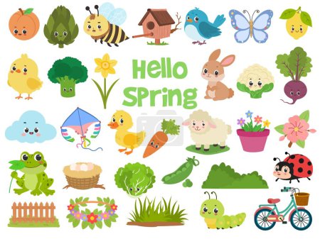 Colección de elementos vectoriales de primavera e ilustraciones incluyendo conejito, oveja, zanahoria, hierba, mariposa y más ...