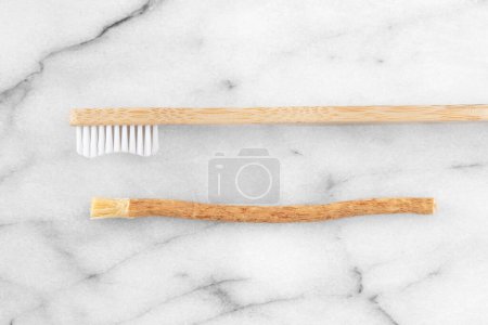 Foto de Palillo de siwak o miswak, raíz de árbol para cepillado ecológico de dientes - Imagen libre de derechos