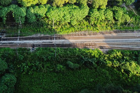 Téléchargez les photos : Chemin de fer vide avec intersection de la voie dans une zone boisée. - en image libre de droit