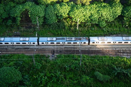 Téléchargez les photos : Train de voyageurs voyageant sur un chemin de fer dans une zone boisée. - en image libre de droit