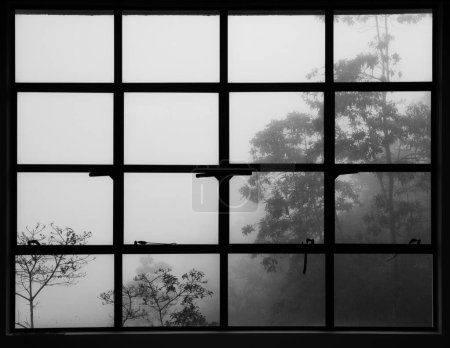 Téléchargez les photos : Vue à travers le panneau de fenêtre avec des arbres, brouillard et brouillard en arrière-plan. Noir et blanc. - en image libre de droit