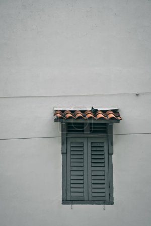 External view of louvred wooden window on wall facade, a pigeon bird perched on tiled awning.