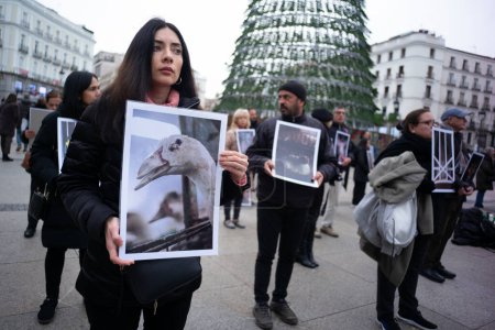 Foto de Decenas de personas sostienen fotografías de animales durante una manifestación por el Día Internacional de los Derechos de los Animales en la Puerta del Sol, el 9 de diciembre de 2023, en Madrid, España. - Imagen libre de derechos