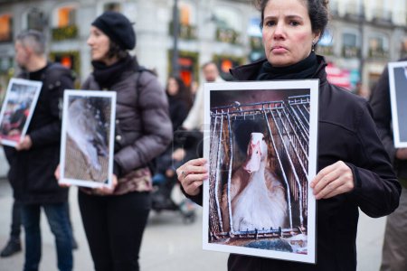 Téléchargez les photos : Des dizaines de personnes tiennent des photos d'animaux lors d'une manifestation pour la Journée internationale des droits des animaux à Puerta del Sol, le 9 décembre 2023, à Madrid, Espagne. - en image libre de droit