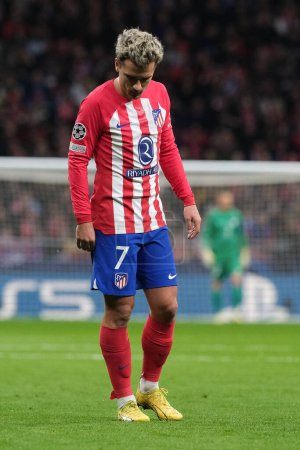 Photo for Antoine Griezmann  of Atletico de Madrid during the UEFA Champions League At Madrid and SS Lazio  Mertropolitano Stadium on Dec 13, 2023 in Madrid, Spain. - Royalty Free Image