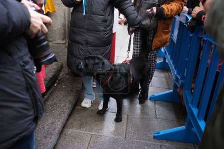 Foto de La gente trae a sus mascotas para ser bendecidas durante la celebración del Día de San Antón, el 17 de enero de 2024, en Madrid, España. - Imagen libre de derechos