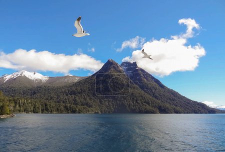  Foto de un viaje en barco turístico en el tranquilo lago. Paisaje patagónico.