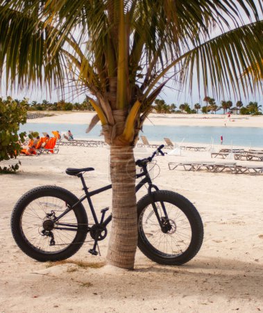 Téléchargez les photos : Ensoleillé midi d'été sur une plage par une journée chaude. Île des Bahamas - en image libre de droit