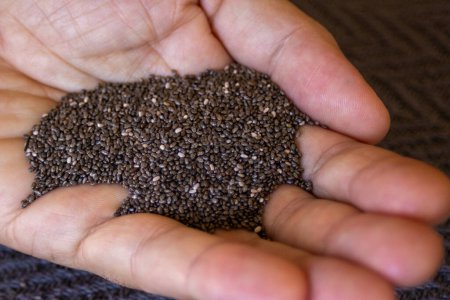 Chia grains, source of vitamins and omega-3. Healthy grains