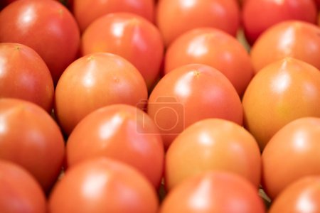 Téléchargez les photos : Tomates alignées en abondance dans un supermarché - en image libre de droit