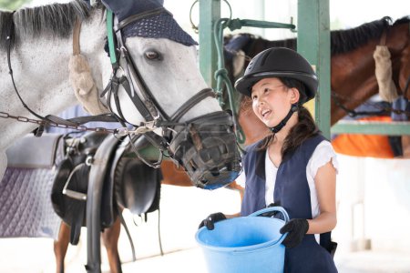 Téléchargez les photos : Enfant prenant soin du cheval - en image libre de droit