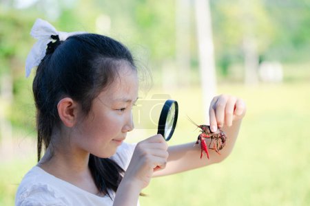 Photo for Girl looking at crayfish with a magnifying glass - Royalty Free Image