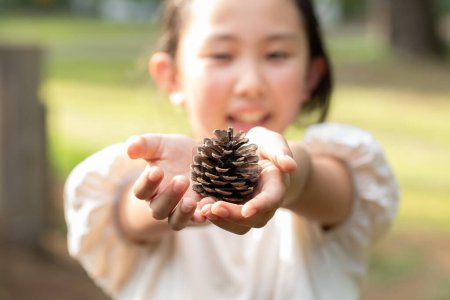 Photo for A child holding out a pine cone - Royalty Free Image