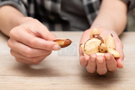 Téléchargez les photos : Mains de femme tenant des noix de brésil - en image libre de droit