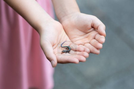 Téléchargez les photos : Petit lézard sur la main d'un enfant - en image libre de droit