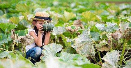 Téléchargez les photos : Fille récolte des citrouilles dans le champ - en image libre de droit