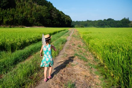Téléchargez les photos : Enfant jouant dans la rizière japonaise - en image libre de droit