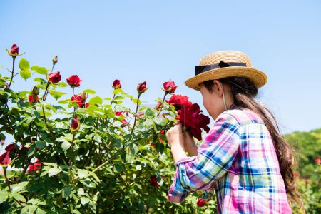 Téléchargez les photos : Fille sentir l'odeur des roses rouges - en image libre de droit