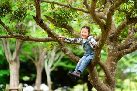 Photo for Cute girl climbing a tree - Royalty Free Image