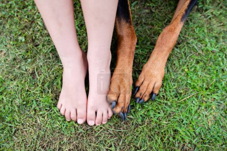 Téléchargez les photos : Pieds d'enfant et pieds de chien - en image libre de droit