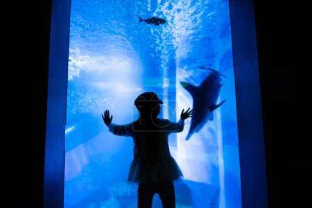 Téléchargez les photos : Jeune fille regardant les poissons dans l'aquarium - en image libre de droit