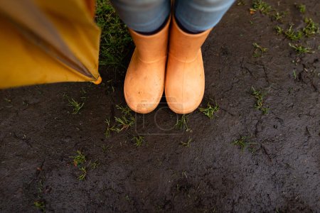 Photo for Children's feet wearing rain boots - Royalty Free Image
