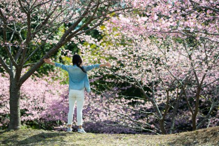 Téléchargez les photos : Femme pour voir les fleurs de cerisier - en image libre de droit