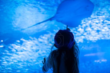 Photo for Girl looking at the aquarium - Royalty Free Image