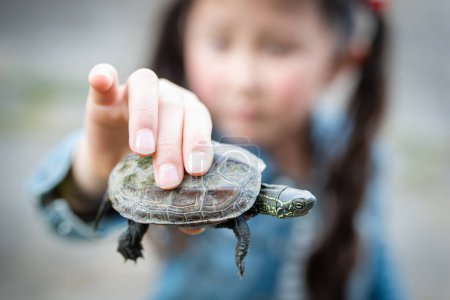 Photo for Girl holding a turtle in hand - Royalty Free Image