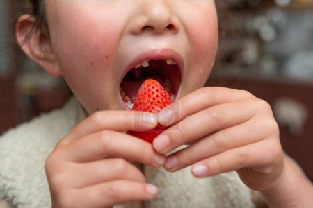 Photo for A child with missing front teeth eats strawberry - Royalty Free Image