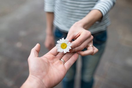 Foto de Hombre y mujer entregando flor blanca - Imagen libre de derechos