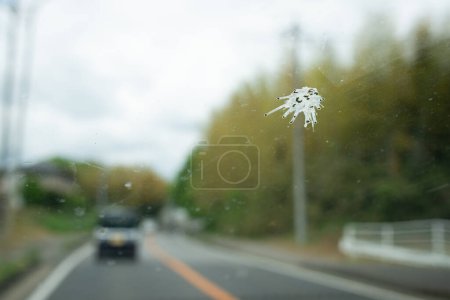 Téléchargez les photos : Excréments d'oiseaux sur le pare-brise de voiture - en image libre de droit