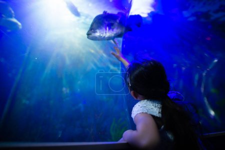 Photo for Young girl looking at fishes in aquarium - Royalty Free Image