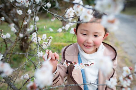 Téléchargez les photos : Fille pour voir la fleur de prunier - en image libre de droit